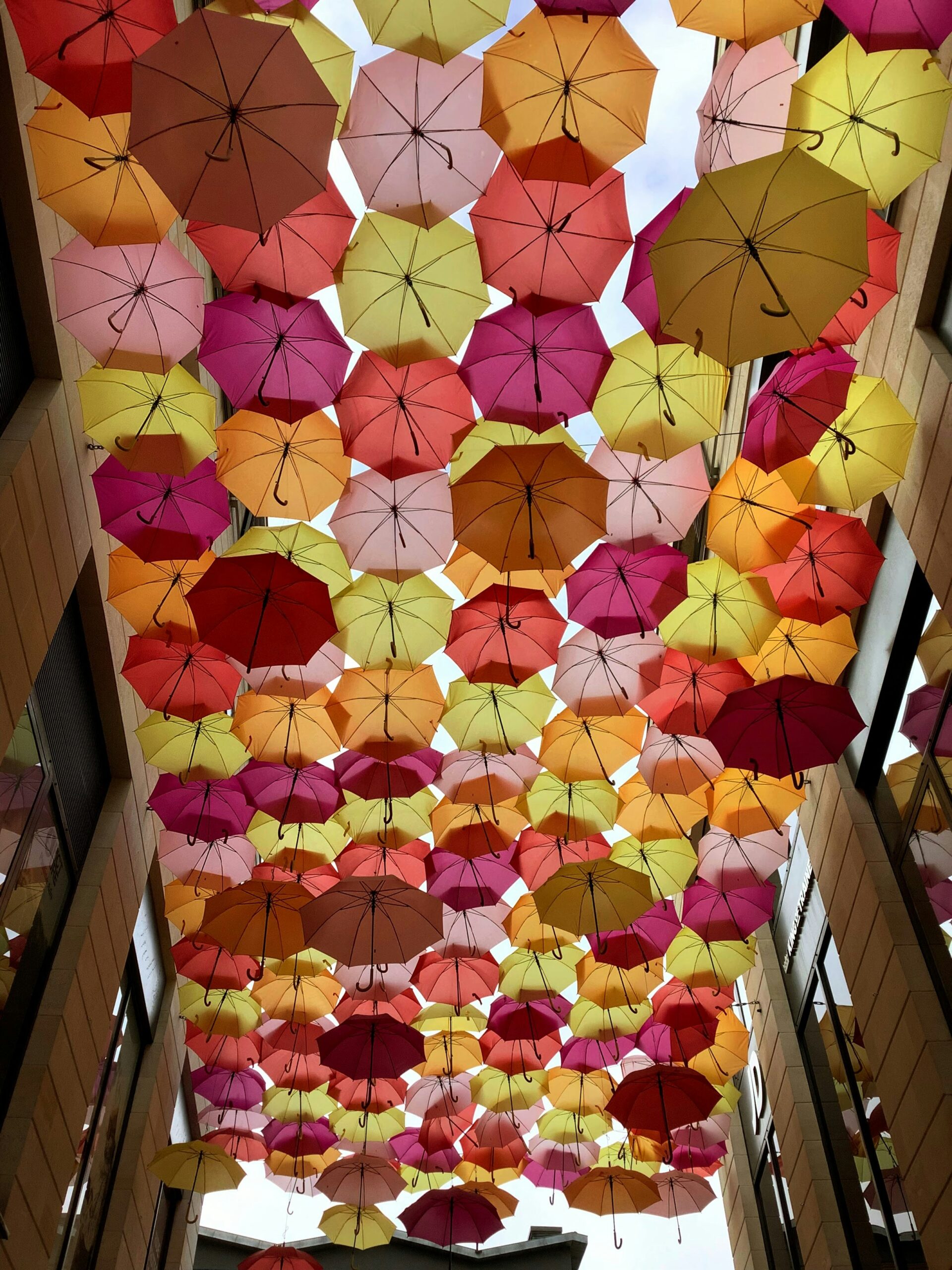 傘立て、もういらない。100均で始める玄関の浮かせる傘収納アイデア